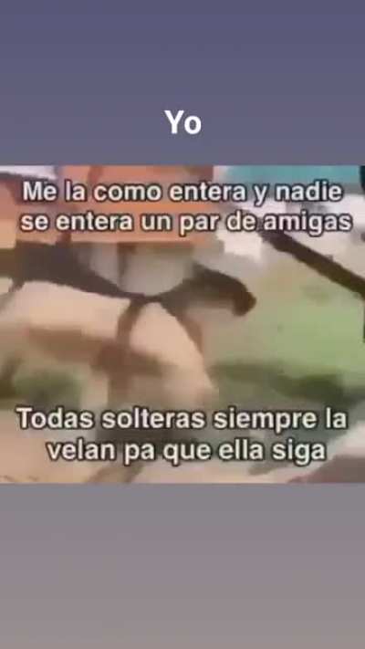 *se subcribieron a puvlo*