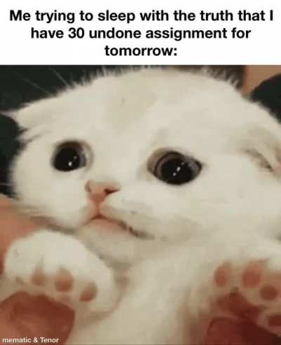 I must sleep