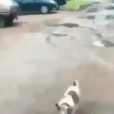 deli orospu evladı senin götünü yaladıktan sonra sikiyim napıyon el kadar hayvana (ölmemiştir demi bence bayılmıştır sadece)
