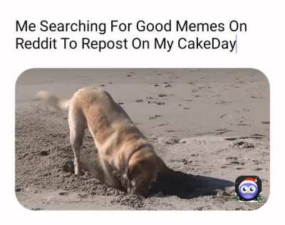 And it's hard to find good memes...