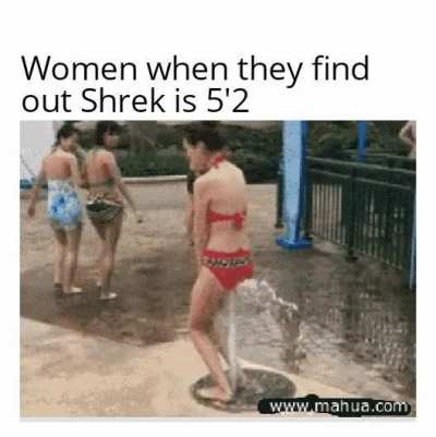 Shrek is love