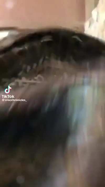 OH, PUTA SUSTO!