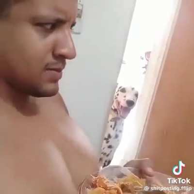 cachorro fiadaputa
