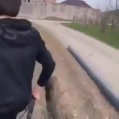 Most gracious sheep in the world