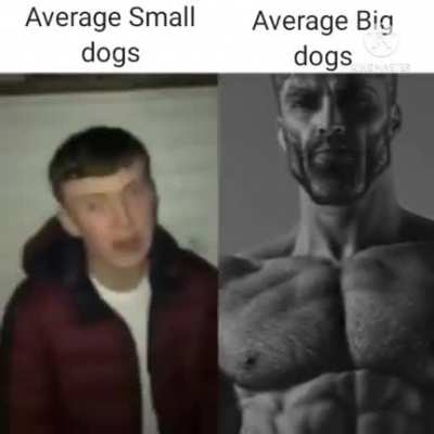 Don't mind the watermark.