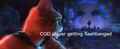 [COD] 