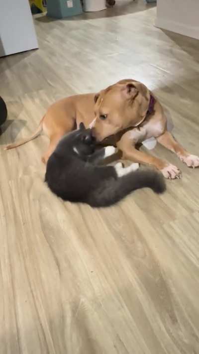 Best friends lol