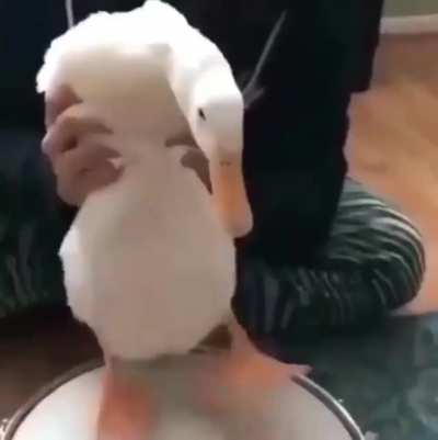 That drummer is pure fire