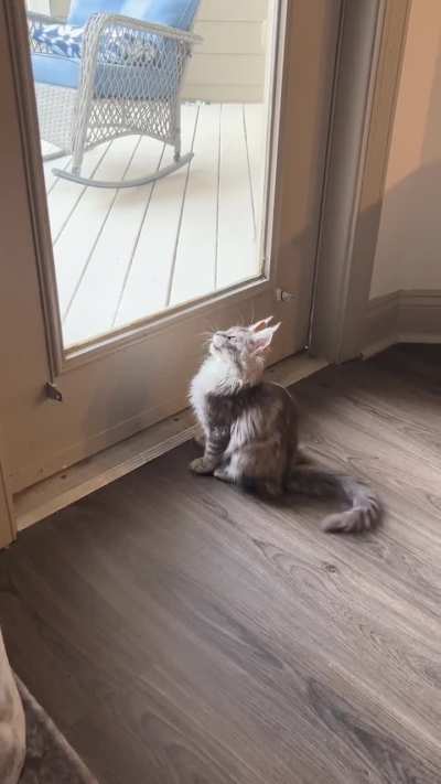 Baby girl’s first ekekek