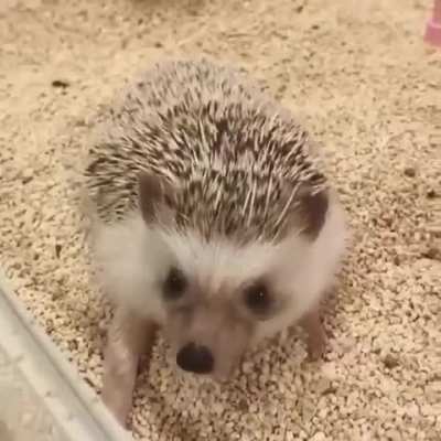 Stretching time