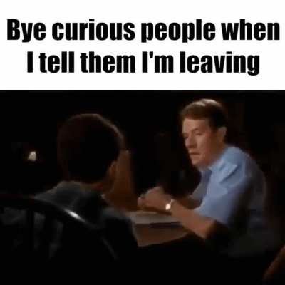 bi curious
