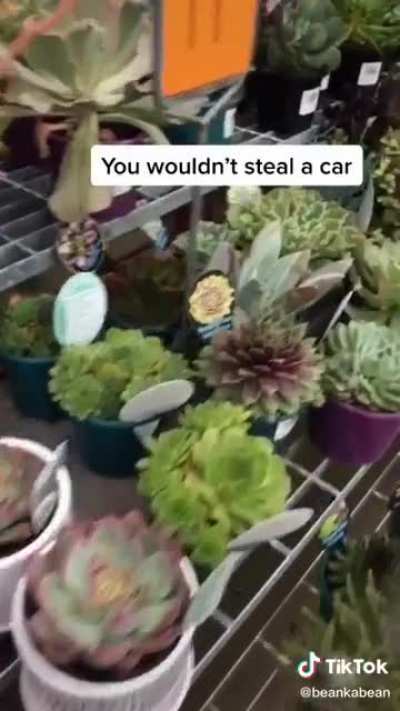 Define stealing...