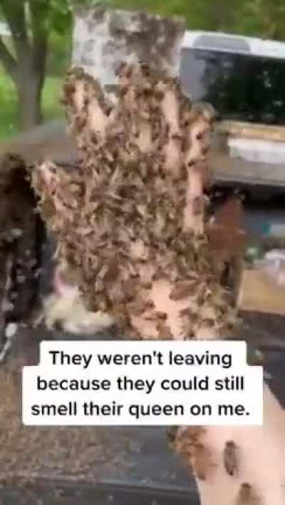 Woman willingly walk towards bees..