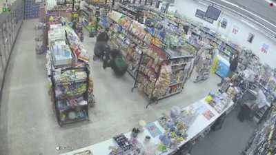 Thief vs Armed Robber