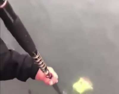 mysterious object emerging from the sea