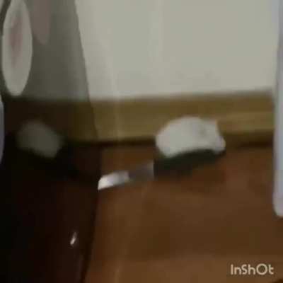 Jerry, é vc?