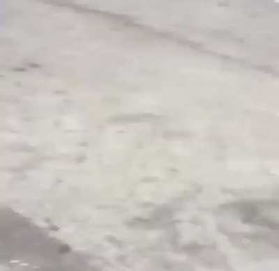 Edogg [O’Block/GBG] racing a girl in the O 😂.