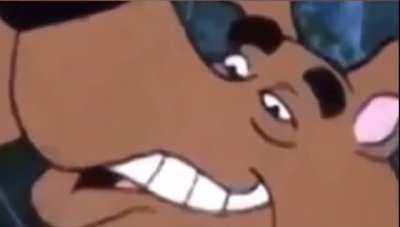 New shaggy show