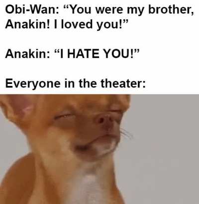 I see through the tears of the Jedi. . .