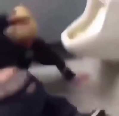 THE PEEPEE PUNCH🥊