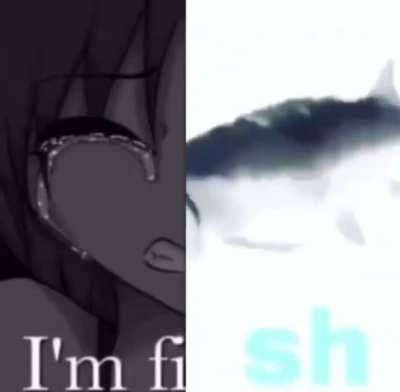 🐟