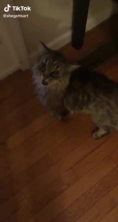 Meowwwwww Mix