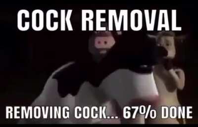 nice