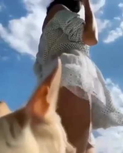 Псина
