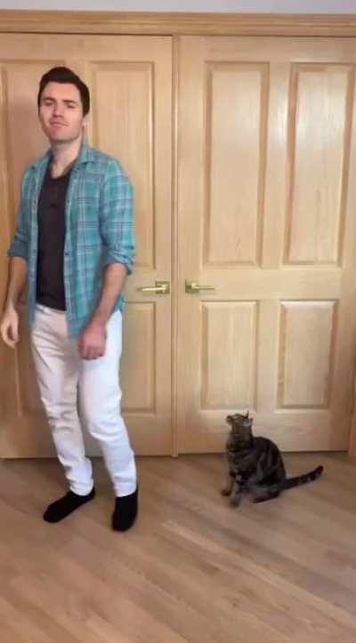 Do not trust cats