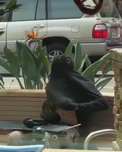 ...to be stealthy
