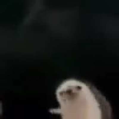 😱😱