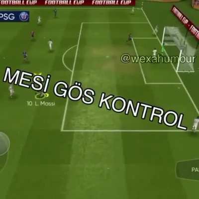 Mesi gös kontrol