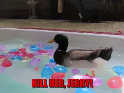 GOOD BOY, JERRY!