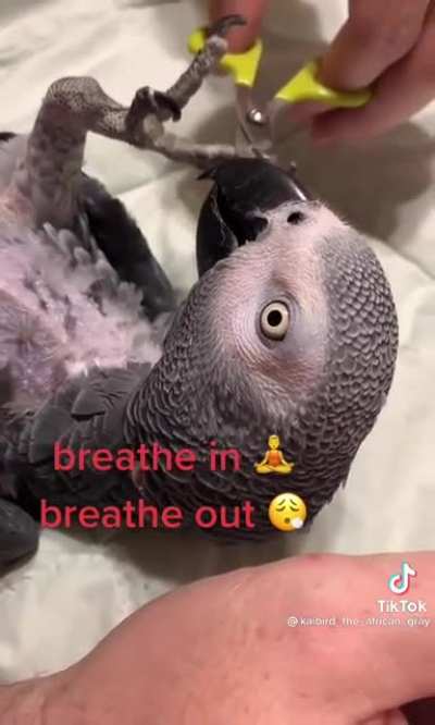 Trust