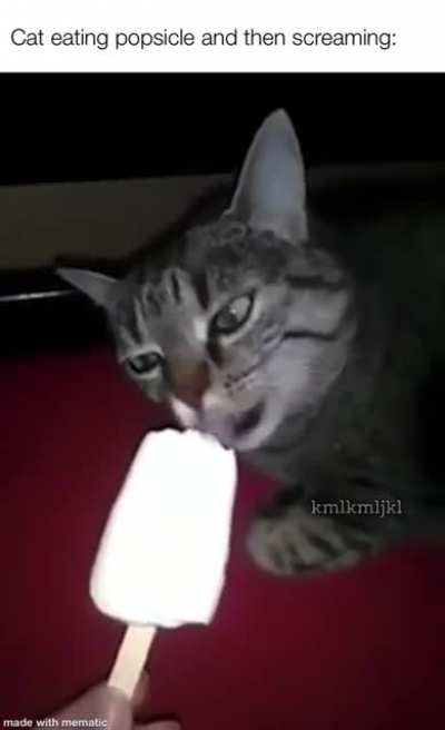 Cat eating popsicle
