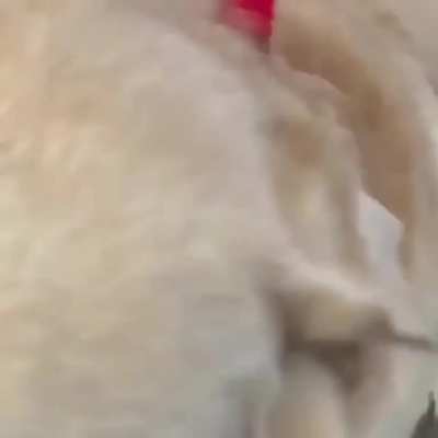 tippy taps