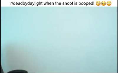 i want to boop the snoot! 🥵🥵🥵🥵🥵🥵🥵🥵
