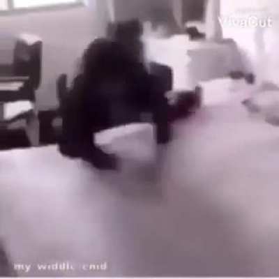 Skadikle skadupla pega barata seu filha da put@