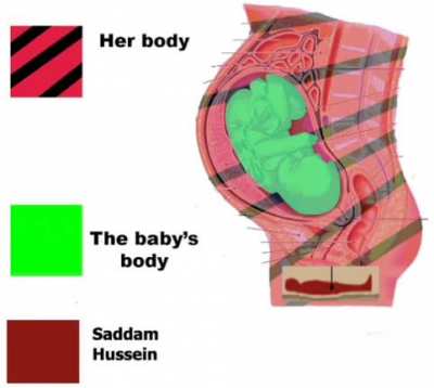 Saddam Hussein