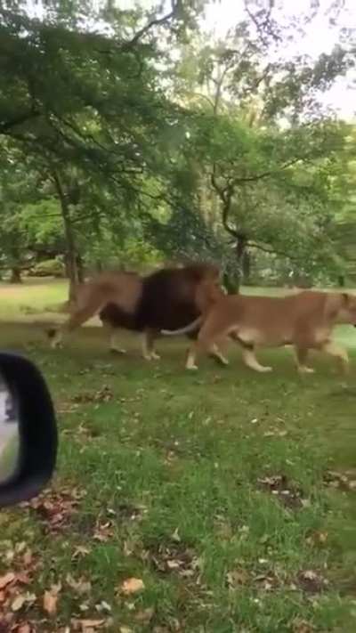 wait for it