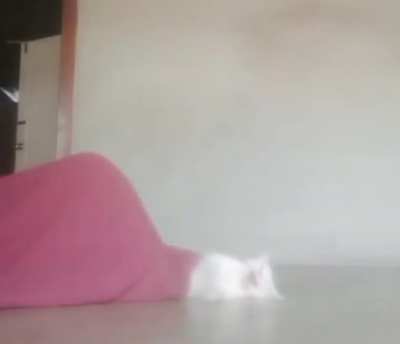 Pov: Mitty