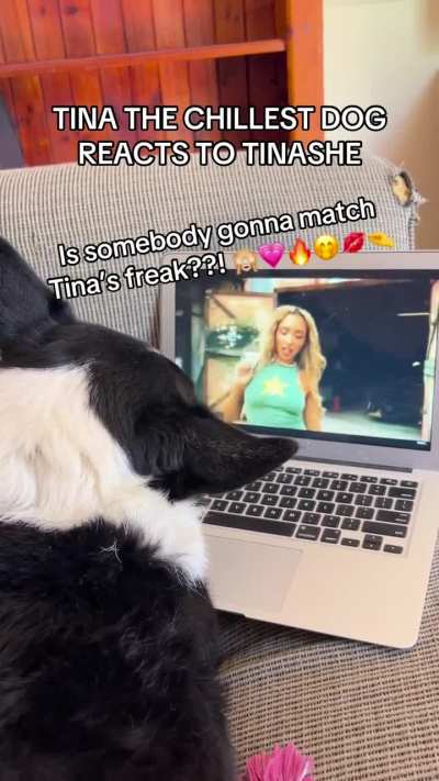 This dog matches Tinashes freak 🙈💗❤️‍<wbr>🔥✨❣️