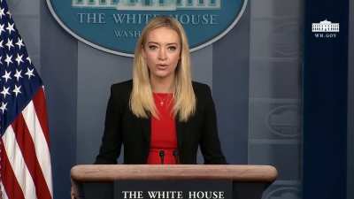 just a normal press briefing