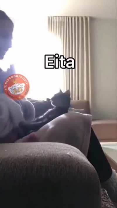 😹😹😹