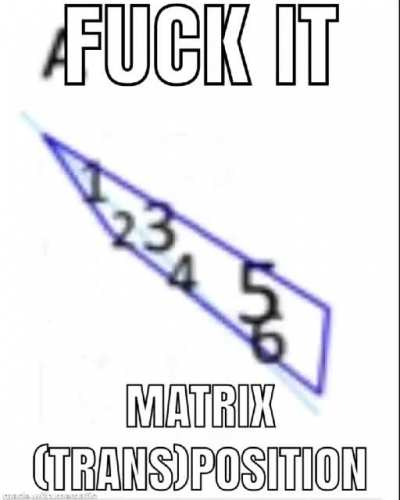 Math said trans rights :0