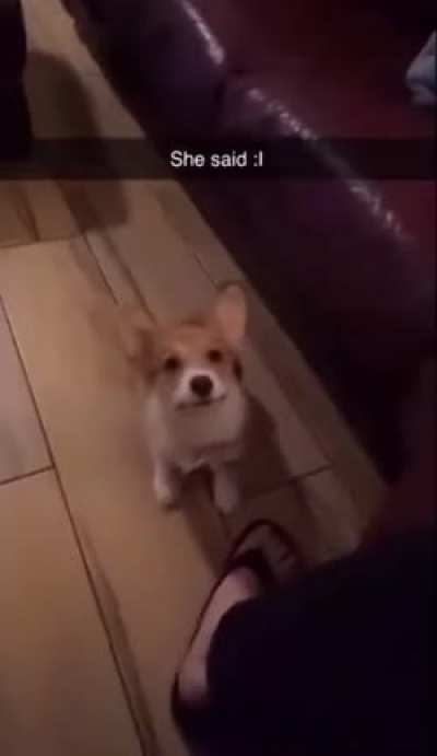 :|