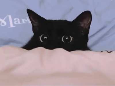 Planning an attack