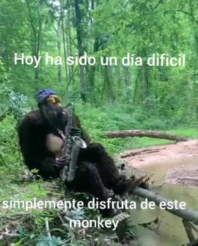 👉🦍
