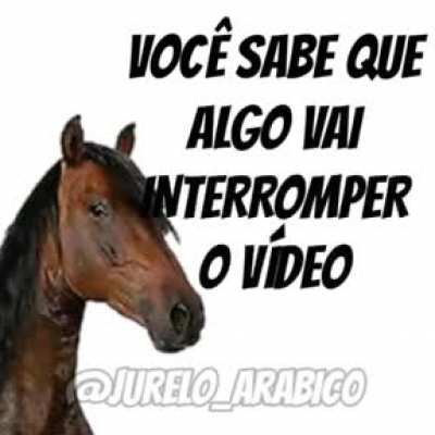 Reflita