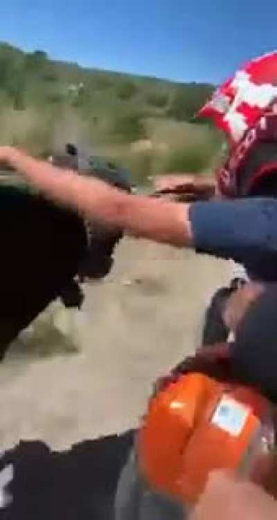 Catching bull by hand!